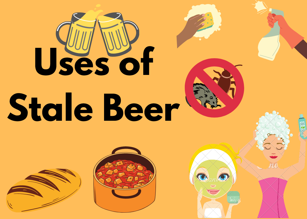 stale-beer-get-rid-of-the-smell-in-your-college-dorm-society19