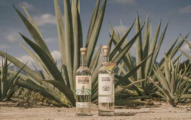 Tequila and Mescal awards