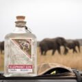 Elephant Gin: The African-Inspired gin. 